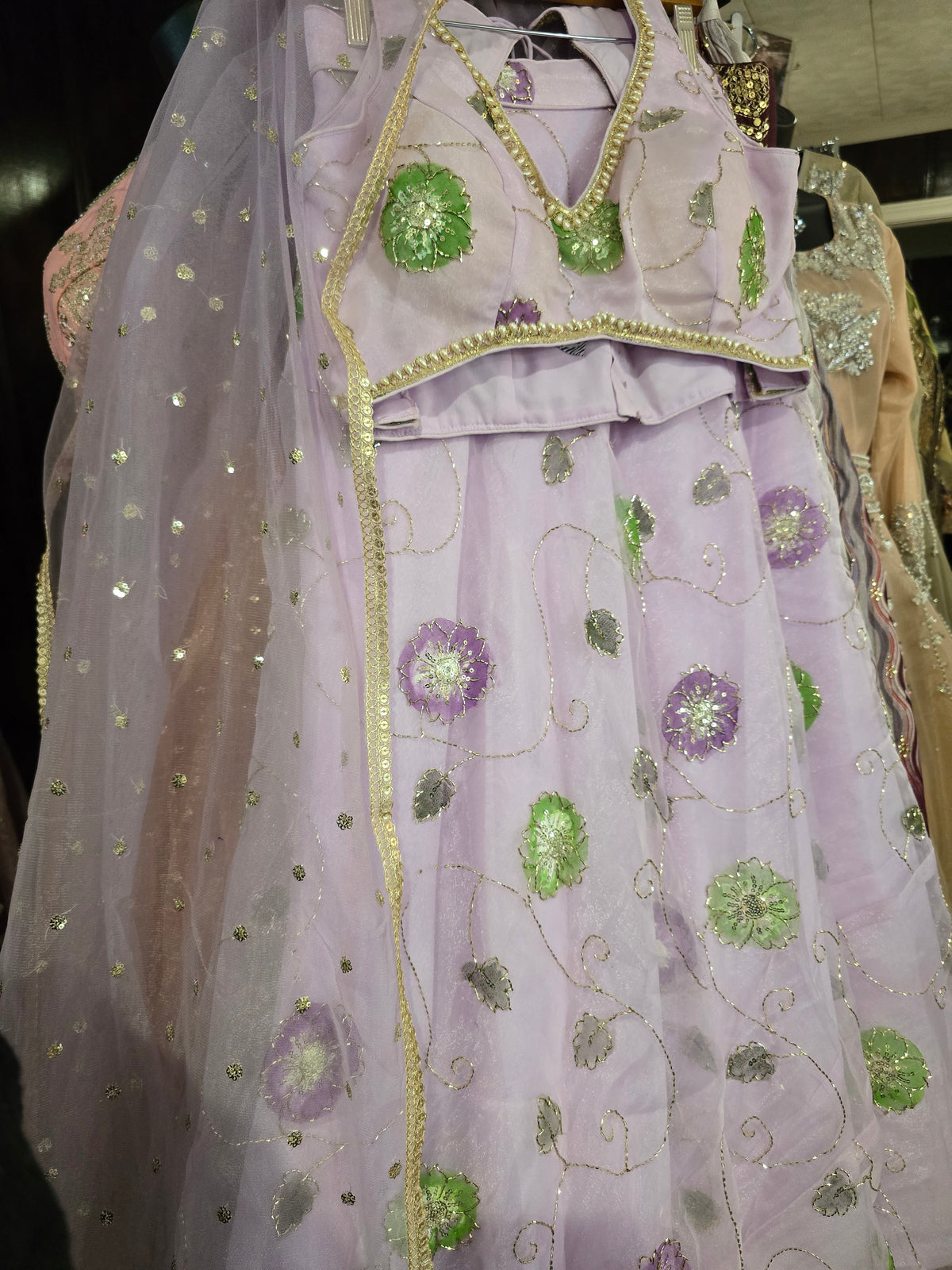 Luxury Hand-Painted Organza Lehenga Set with Embellished Choli & Dupatta