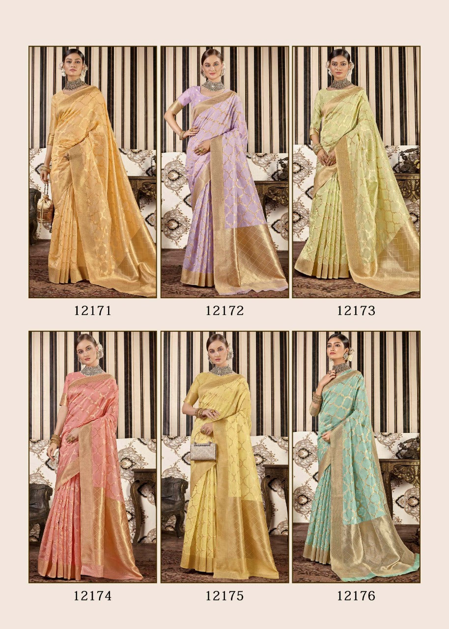 Elegant organza sari set
