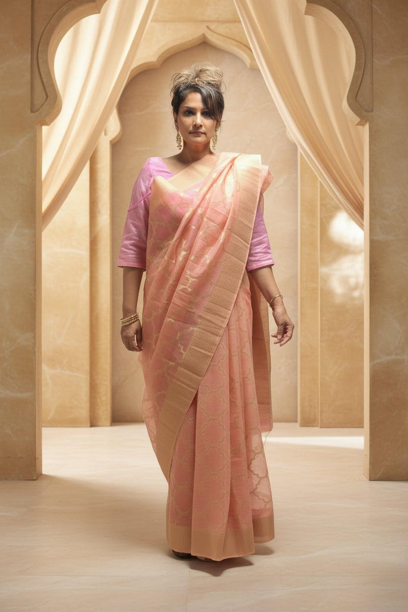 Elegant organza sari set