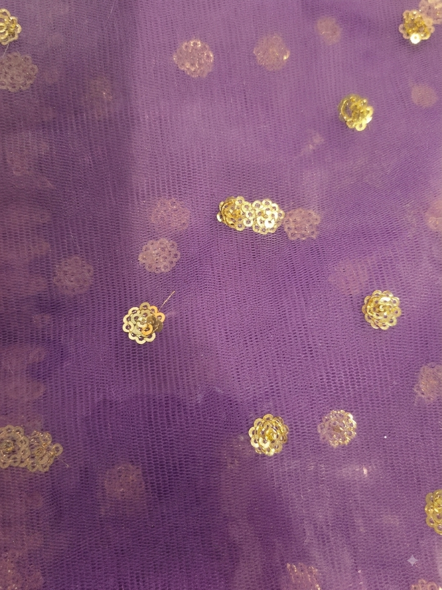 Beautiful sequence & beaded blouse with pure silk langha net dubatta set
