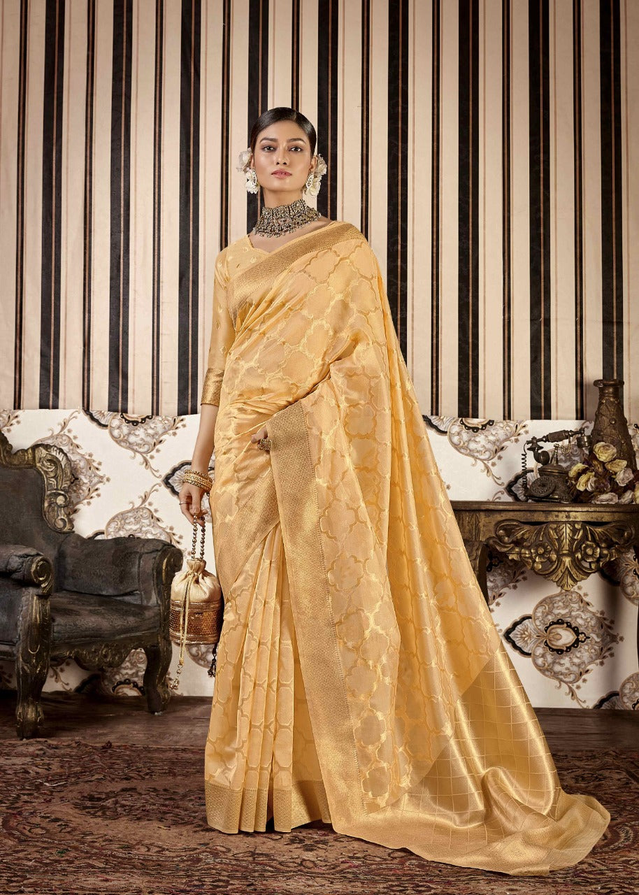Elegant organza sari set