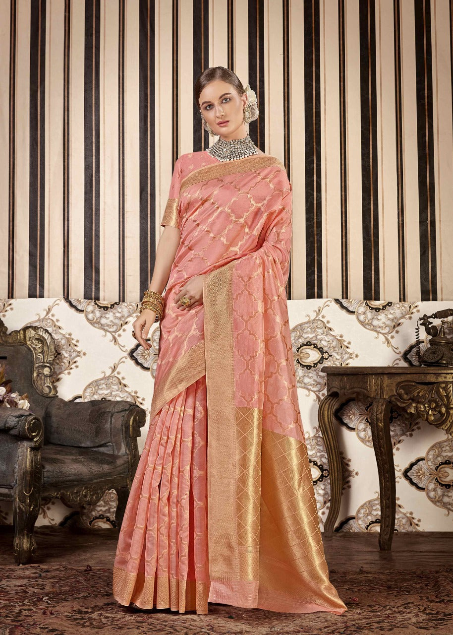 Elegant organza sari set