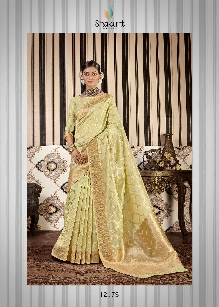 Elegant organza sari set