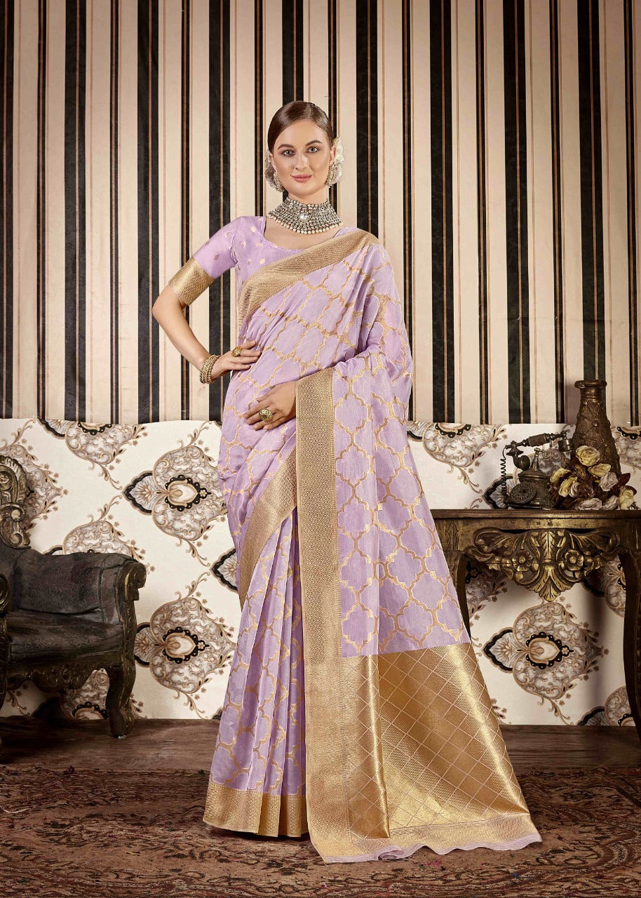 Elegant organza sari set