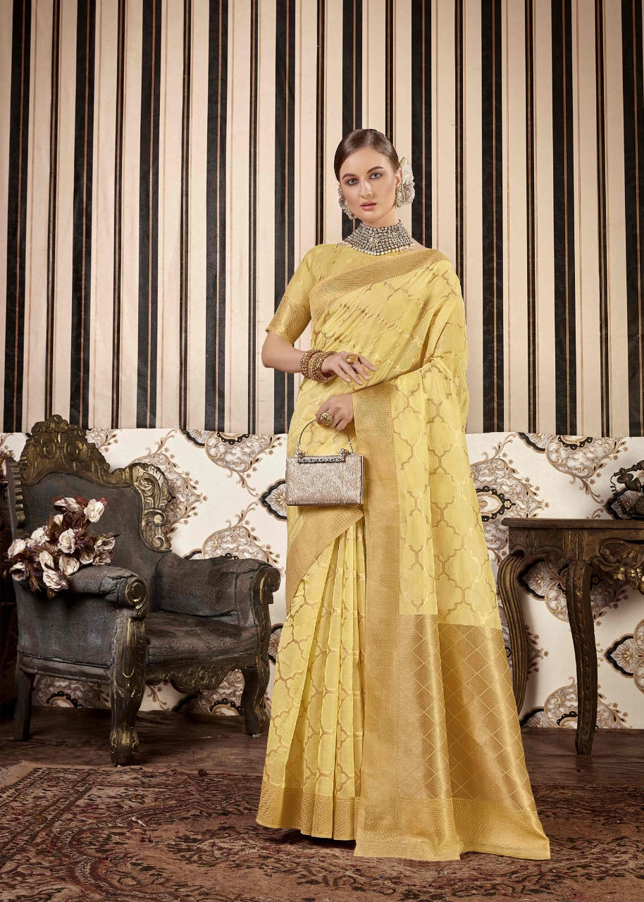 Elegant organza sari set